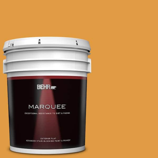 BEHR MARQUEE 5 gal. #T18-05 Life Is Good Flat Exterior Paint & Primer