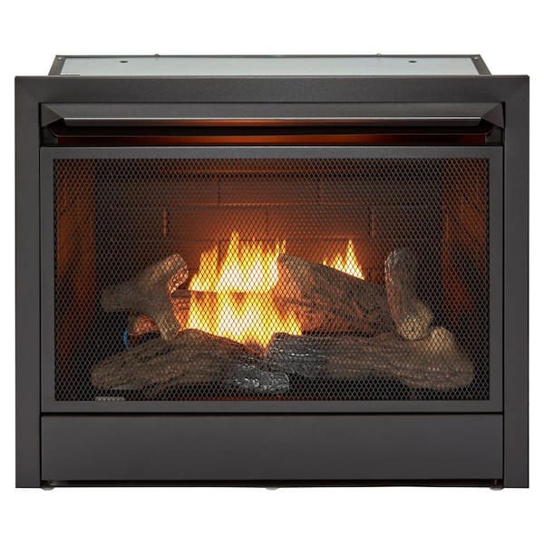 Duluth Forge Dual Fuel Ventless GasFireplace Insert - 26,000 BTU, T-Stat Control FDF300T