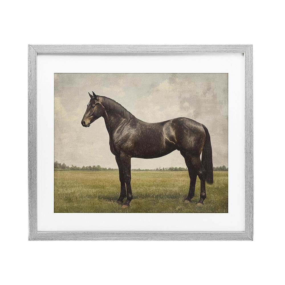 Espresso Horse Portrait by Petal Prints Design 1 Piece Gray Under Glass Framed Animal Graphic Art Print 17 in. x 21 in. price history on PriceWatchPro