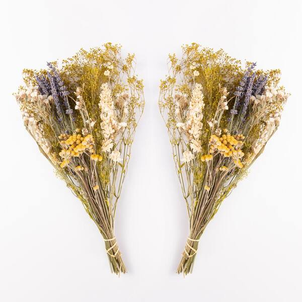 Bindle & Brass 14 in Green Dried Natural Baby's Breath Mini Bouquet (2-Pack)