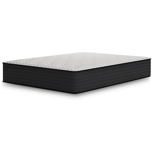 Limited Edition Plush Queen Plush Hybrid 12 in. Bed-in-a-Box Mattress