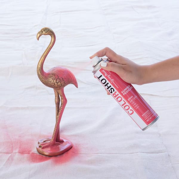 Colorshot 10 Oz Gloss Summer Pedicure Coral General Purpose Aerosol Spray Paint 42642 The Home Depot