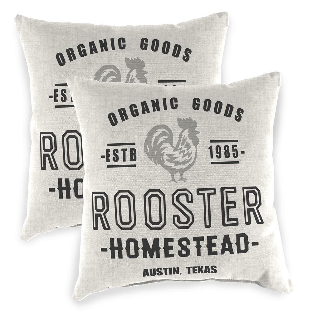 16 in. L x 16 in. W x 4 in. T Square Outdoor Throw Pillow in Rooster Homestead (2-Pack) price history on PriceWatchPro