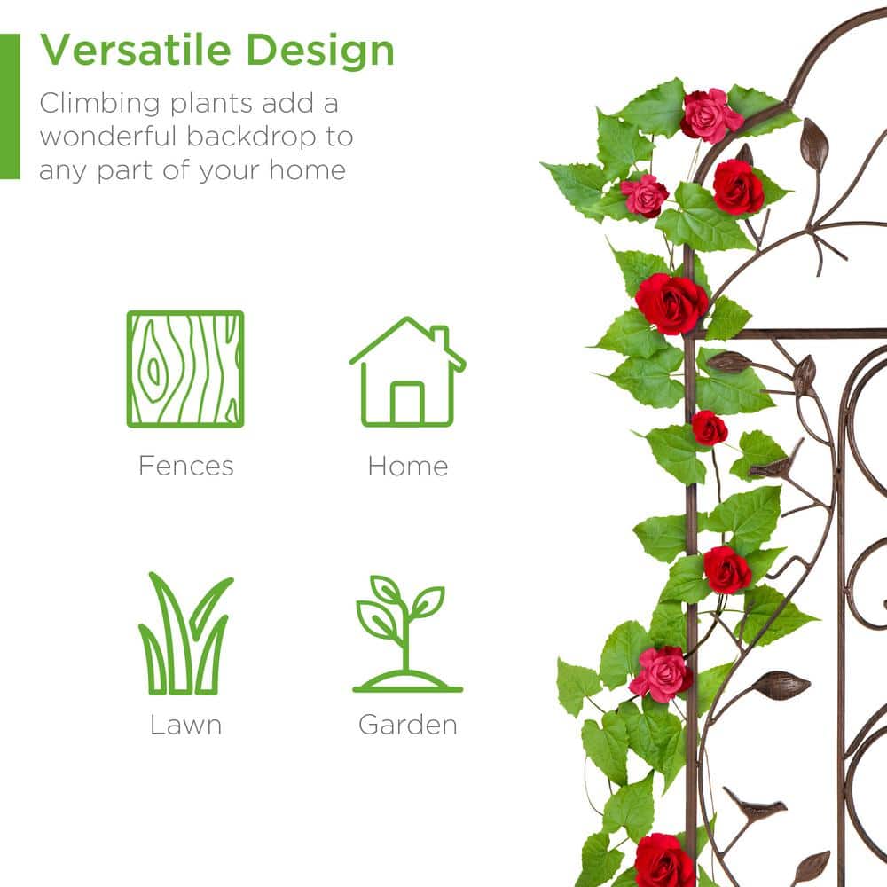 Bronze Iron Arched Garden Trellis with Bird and Branch Design