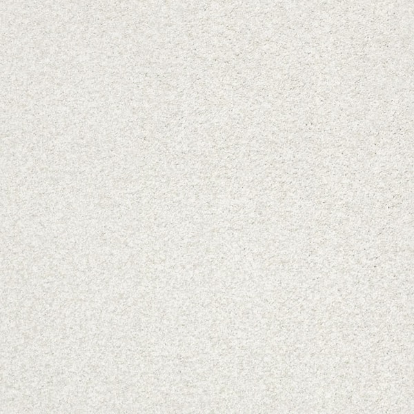 Lifeproof Karma I - Linen - Beige 41.2 oz. Nylon Texture Installed Carpet