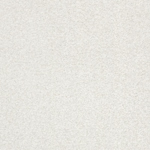Karma II - Linen - Beige 50.5 oz. Nylon Texture Installed Carpet