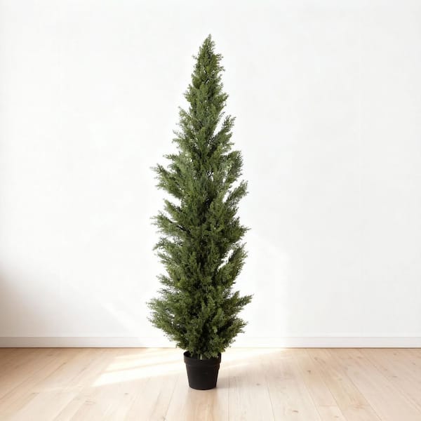 Alanna Indoor 6 ft. Artificial Cypress Tree with Black Plastic Pot