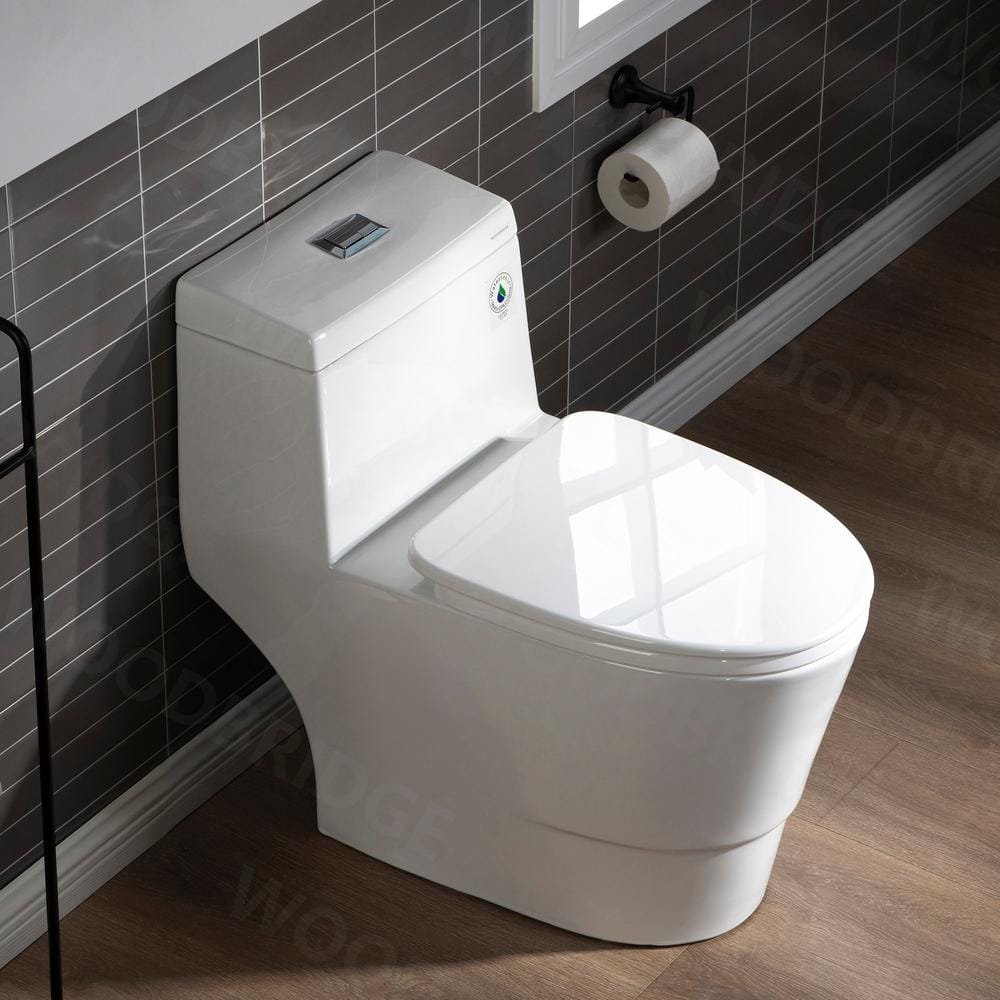 White Elongated One-Piece Dual Flush Toilet with Chrome Button