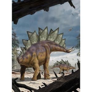 Stegosaurus Wall Mural