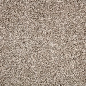 Home Decorators Collection 8 in. x 8 in. Texture Carpet Sample - Gemini ...