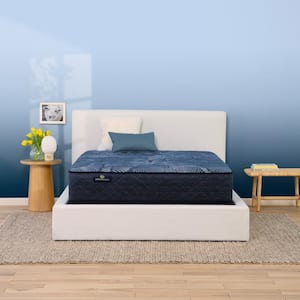 Perfect Sleeper Oasis Sleep Twin Plush 13.25 in. Mattress Set with 9 in. Foundation
