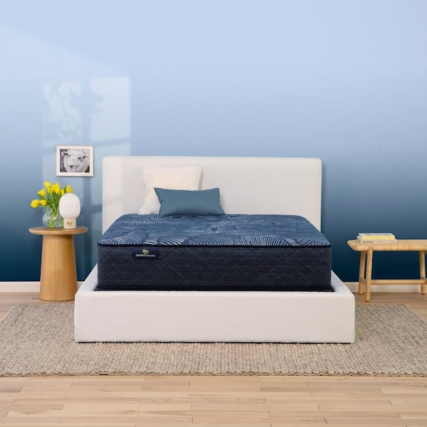 Serta Perfect Sleeper Oasis Sleep Twin XL Plush 13.25 in. Mattress Set with 9 in. Foundation