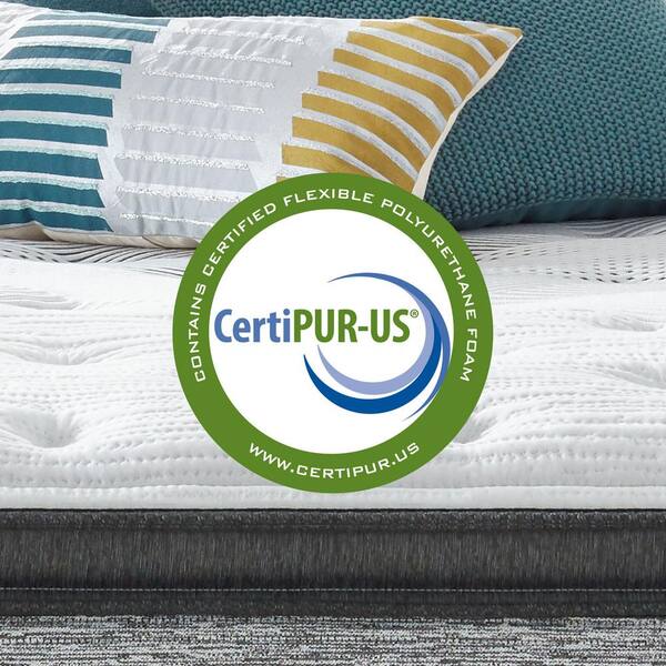Beautyrest Harmony Lux Carbon Series 15.75 in. Plush Pillow Top Beautyrest Harmony Lux Carbon Series 15.75 in. Plush Pillow Top