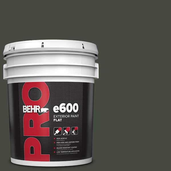 BEHR PRO 5 gal. #BXC-12 Deep Forest Flat Exterior Paint