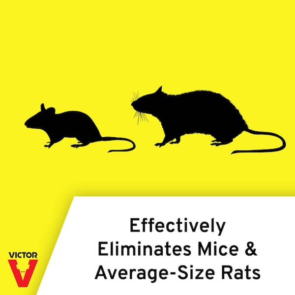 Electronic Extra Large Rat Trap Victor Rat Killer Pest Control Electric  Rodent Zapper 8000V 