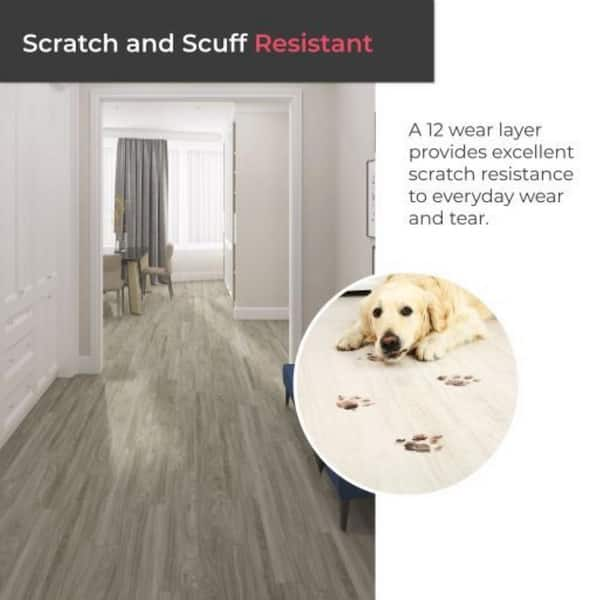 BaseCore Milani 12 in. x 12 in. 2mm Vinyl Peel & Stick Floor Tile Lucida USA