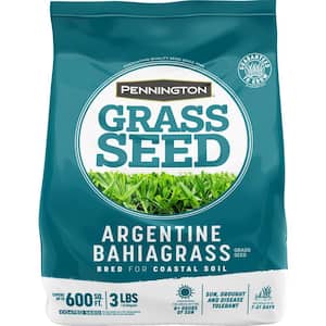 Argentine Bahiagrass 3 lb. 600 sq. ft. Grass Seed