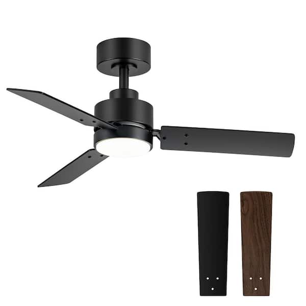 Breezary Tracy 36 in. Integrated LED Indoor Black Standard Ceiling Fan with Light and Remote Control Included