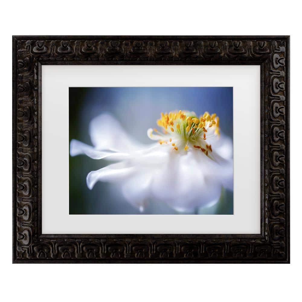 Mandy Disher Anemone 1-Matted Framed Photography Wall Art 14.5 in. x 17.5 in. price history on PriceWatchPro