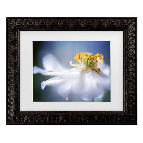 Mandy Disher Anemone 1-Matted Framed Photography Wall Art 14.5 in. x 17.5 in.