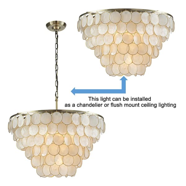 ALOA DECOR 5-Light 24 in. Farmhouse Coastal Natural Capiz Shell in