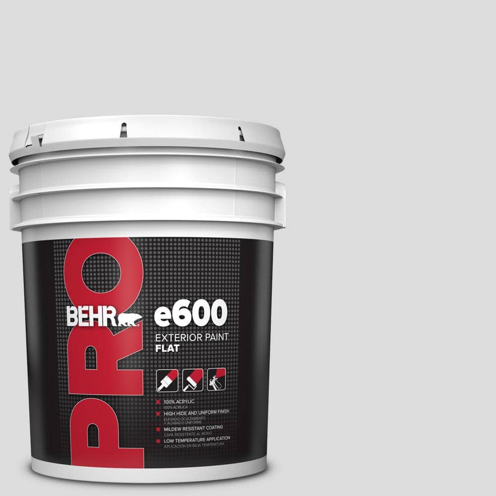 5 gal. #N530-1 Pixel White Flat Exterior Paint price history on PriceWatchPro