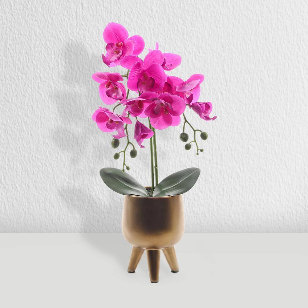 Elegant 21" Purple Orchid with Moss in Gold Vase Centerpiece