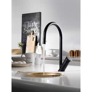 Oni Single-Handle Hidden Pull Down Sprayer Kitchen Faucet with CeraDox Technology in Matte Black