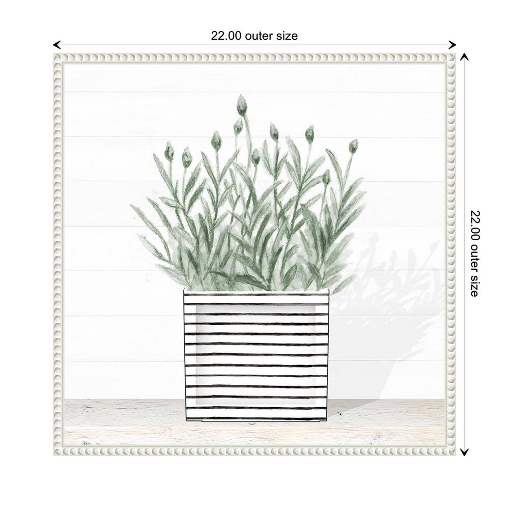 Lavender Blossom in Striped Pot Canvas Wall Art with White Frame