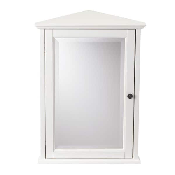 Hamilton 20 in. W x 27 in. H Rectangular Medicine Cabinet with Mirror