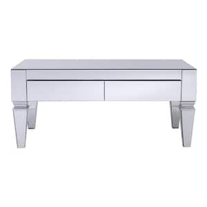 Bernadette 21 in. L Silver 18 in. H Rectangle Glass Coffee Table with Mirrored