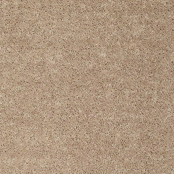 TrafficMaster 8 in. x 8 in. Texture Carpet Sample - Palmdale I - Color Honey Wheat