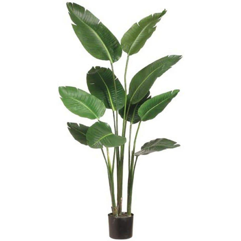 60 in Green Silk Bird of Paradise Floor Plant in Black Pot