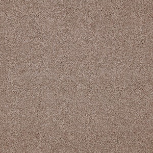8 in. x 8 in. Texture Carpet Sample - Playful Moments II (T) -Color Misty Mirage