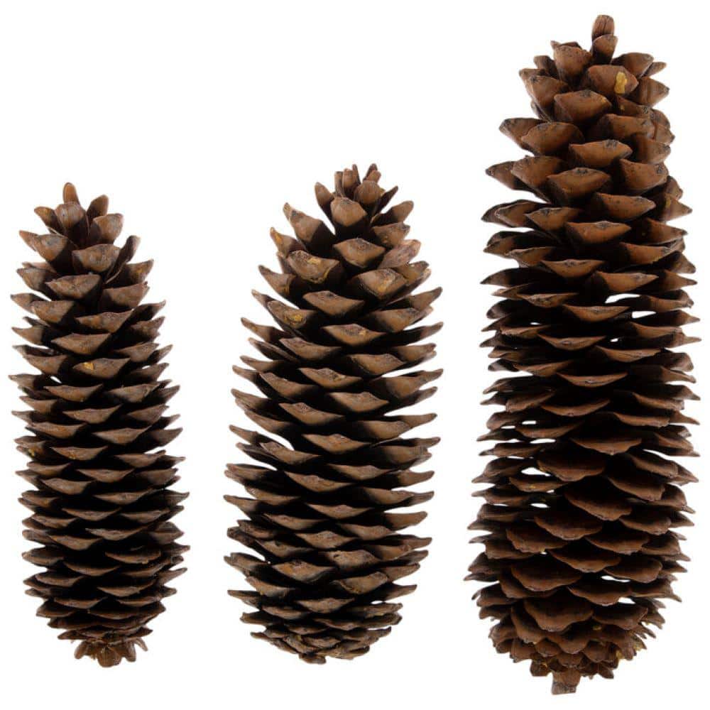 Bindle & Brass Cinnamon Scented Pinecone Bag (2-Pack) BB35-100415