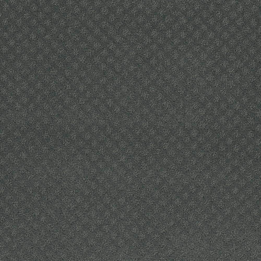 8 in. x  8 in. Loop Carpet Sample - Camelia Lane -Color Alley price history on PriceWatchPro