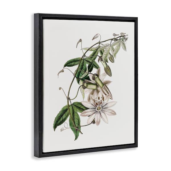 artificial bamboo plant Black Bamboo with Planter | 3 Gallon | Mexia main image 1