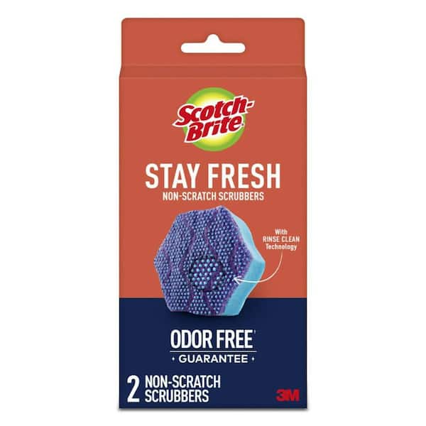 Scotch-Brite 3.8 in. Scrub Dots Stay Fresh Non-Scratch Scrubbers (2-Pack)
