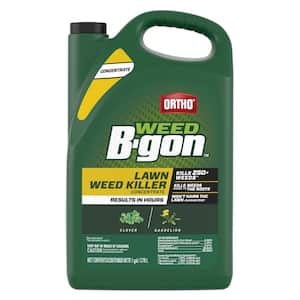 1 Gal. Weed B Gon Weed Killer for Lawns Concentrate