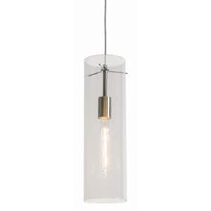 View 1-Light Satin Nickel Pendant with Glass Shade