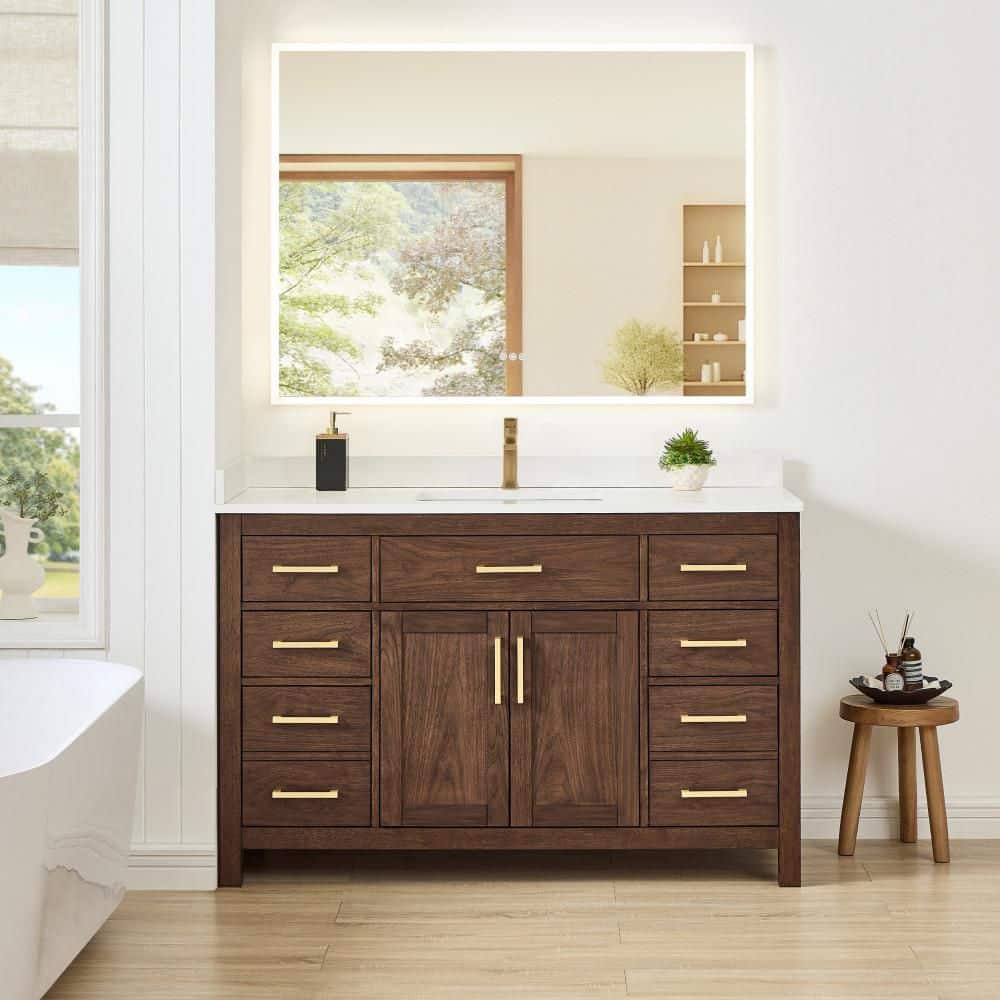 Beckett 54 in. Single Freestanding Dark Walnut Bath Vanity with Top price history on PriceWatchPro