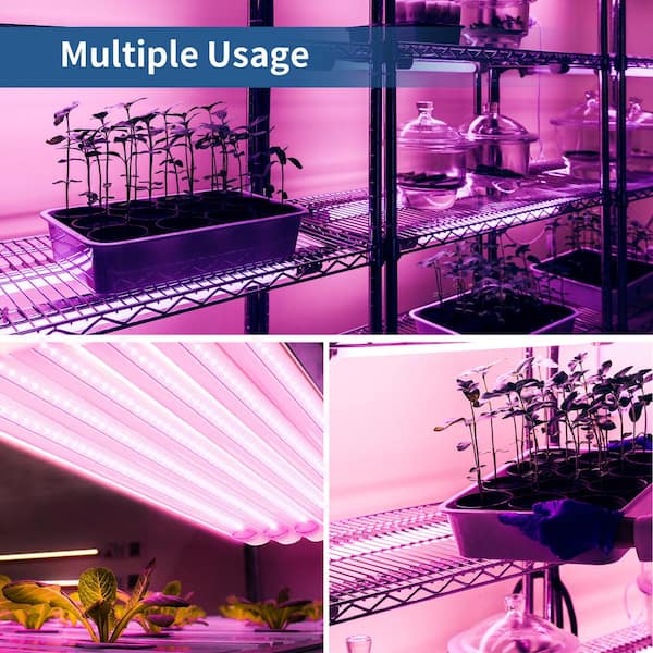 Using LED Grow Lights - GROZINE
