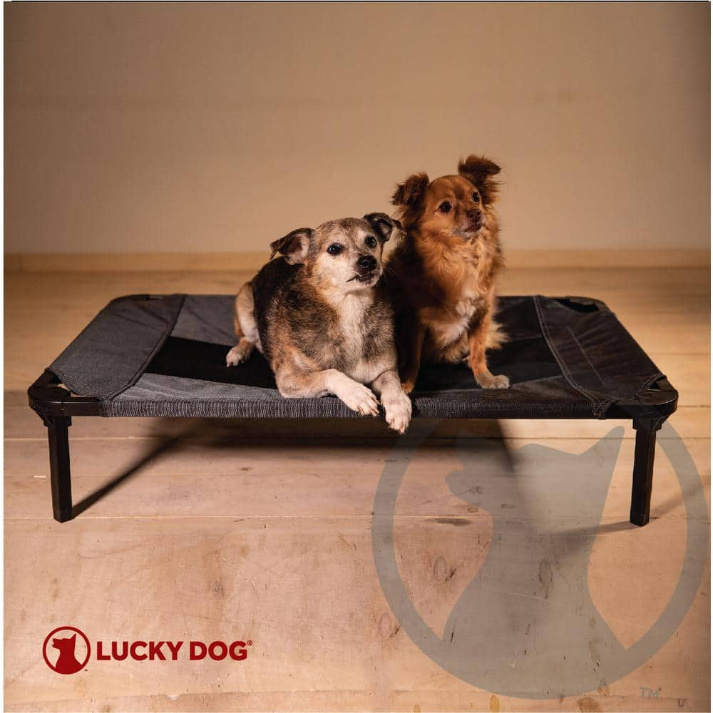 Lucky Dog Small/Medium 30 in. Gray Elevated Pet Bed Comfort Cot CMB10130ZE0310