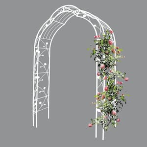 98.4 in. x 59 in. Iron Garden Arbor in White