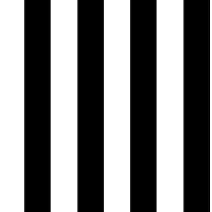 Monochrome Stripe Black/White Black and White Wallpaper Sample
