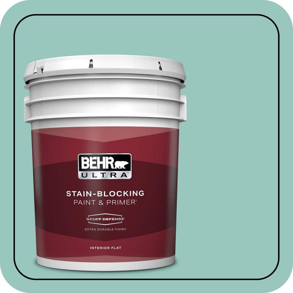 5 gal. #490D-4 Eucalyptus Leaf Extra Durable Flat Interior Paint & Primer price history on PriceWatchPro