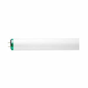 40-Watt 4 ft. Linear T12 ALTO Fluorescent Tube Light Bulb Cool White (4100K) (2-Pack)