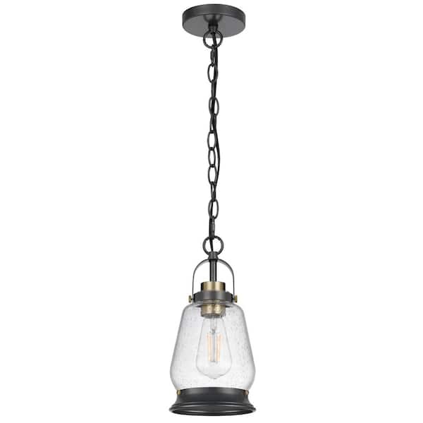 60 Watt Black Metal 1-Light with Clear Glass Shade, No Bulbs Included