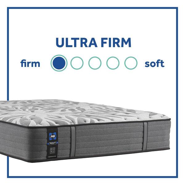 sealy whitewood mattress