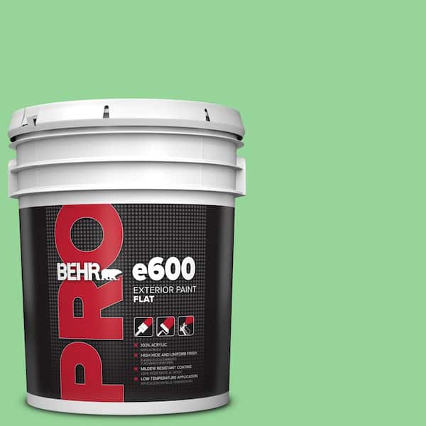 BEHR PRO 5 gal. #P390-4 Young Green Flat Exterior Paint